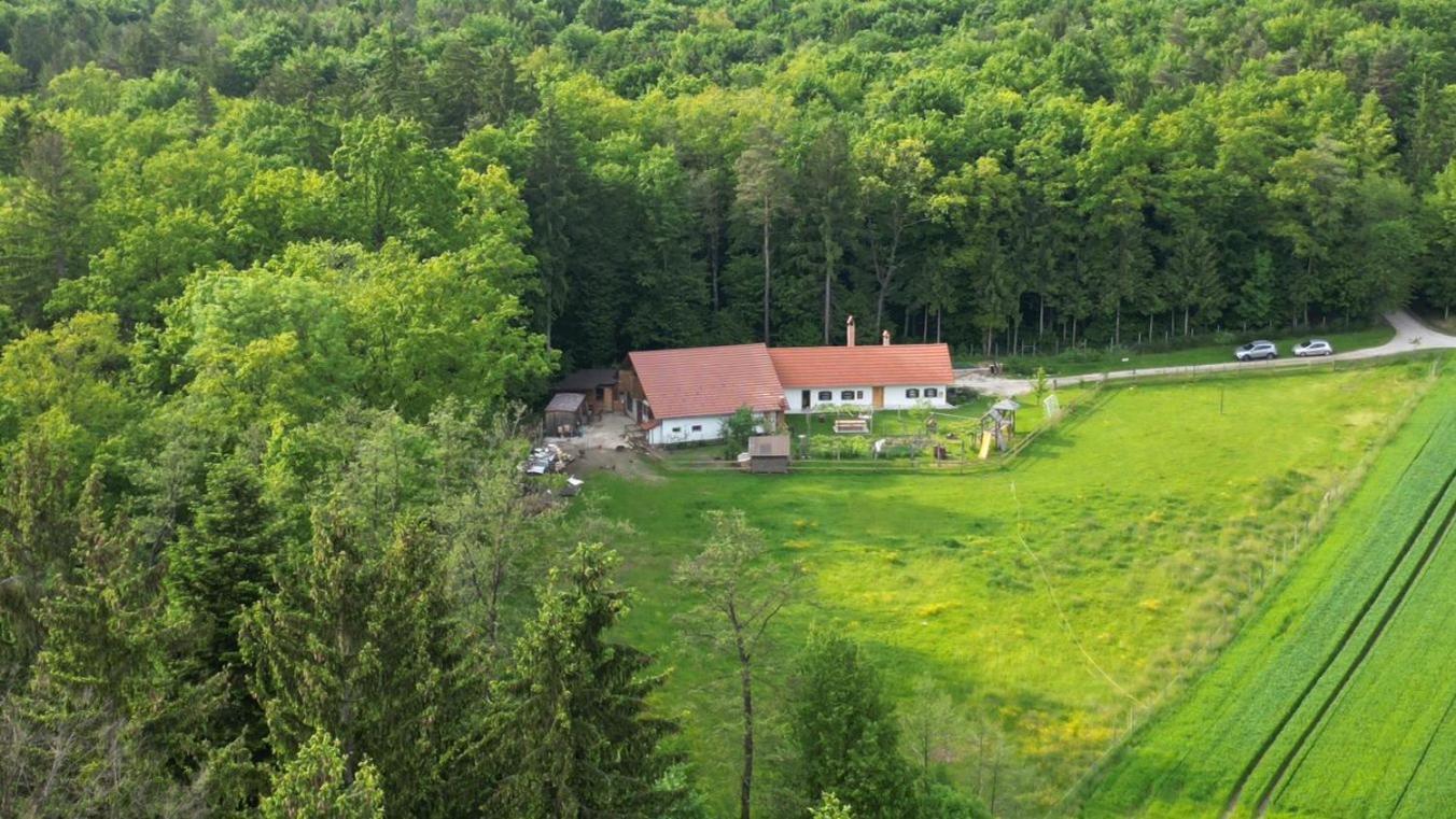 Soba Tete Tile - Hisa Ob Gozdu Ptuj