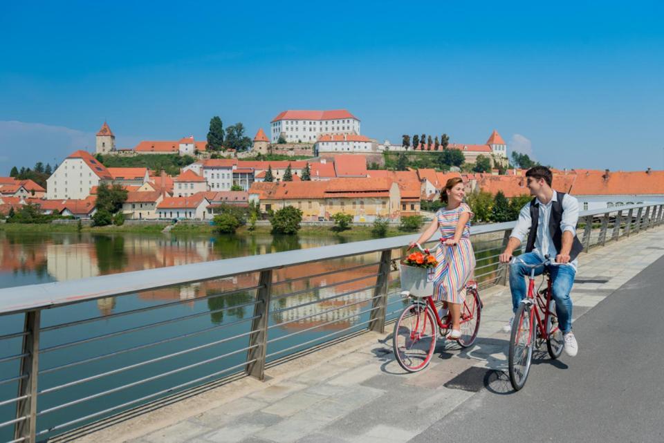 Soba Tete Tile - Hisa Ob Gozdu * Ptuj